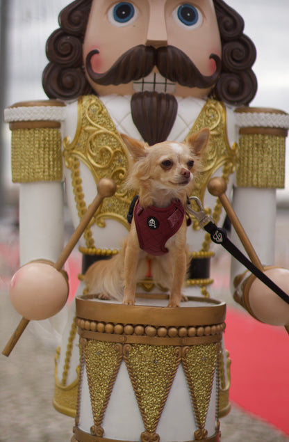 Trela Nº1 Blanc Noir - Waterproof (1.50M)