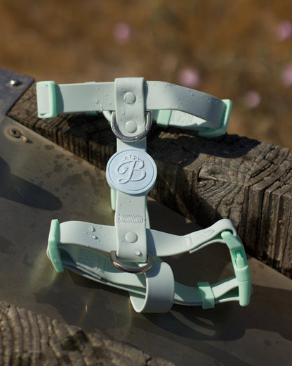 Peitoral Mint Aqua