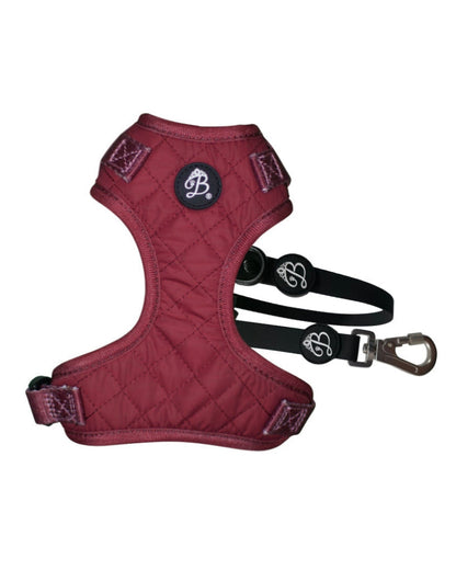 Kit Peitoral Bordeaux Luxe + Trela Nº1 Blanc Noir
