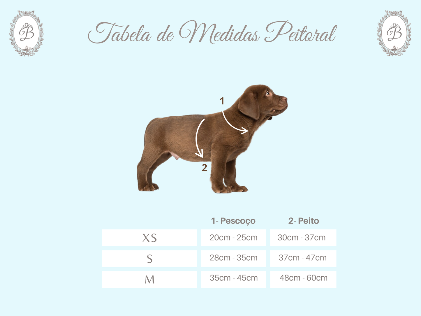 Peitoral Bling Bling Baby Nude