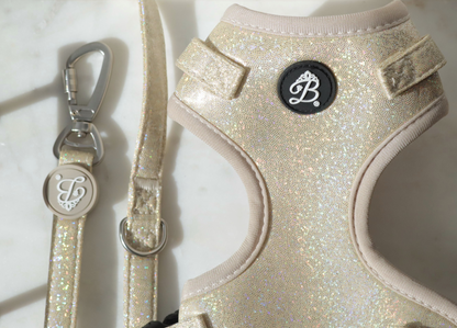 Conjunto Peitoral + trela Bling Bling Baby Nude