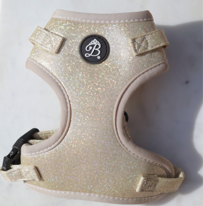 Conjunto Peitoral + trela Bling Bling Baby Nude