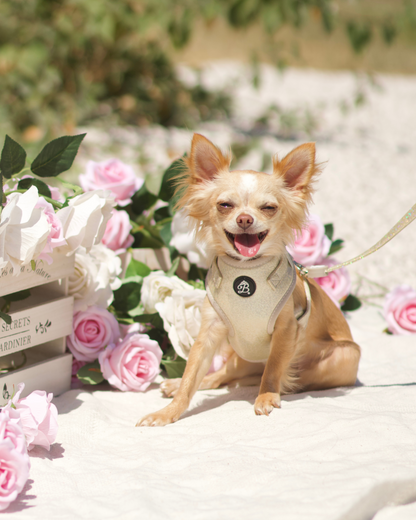 Trela Bling Bling Baby Nude