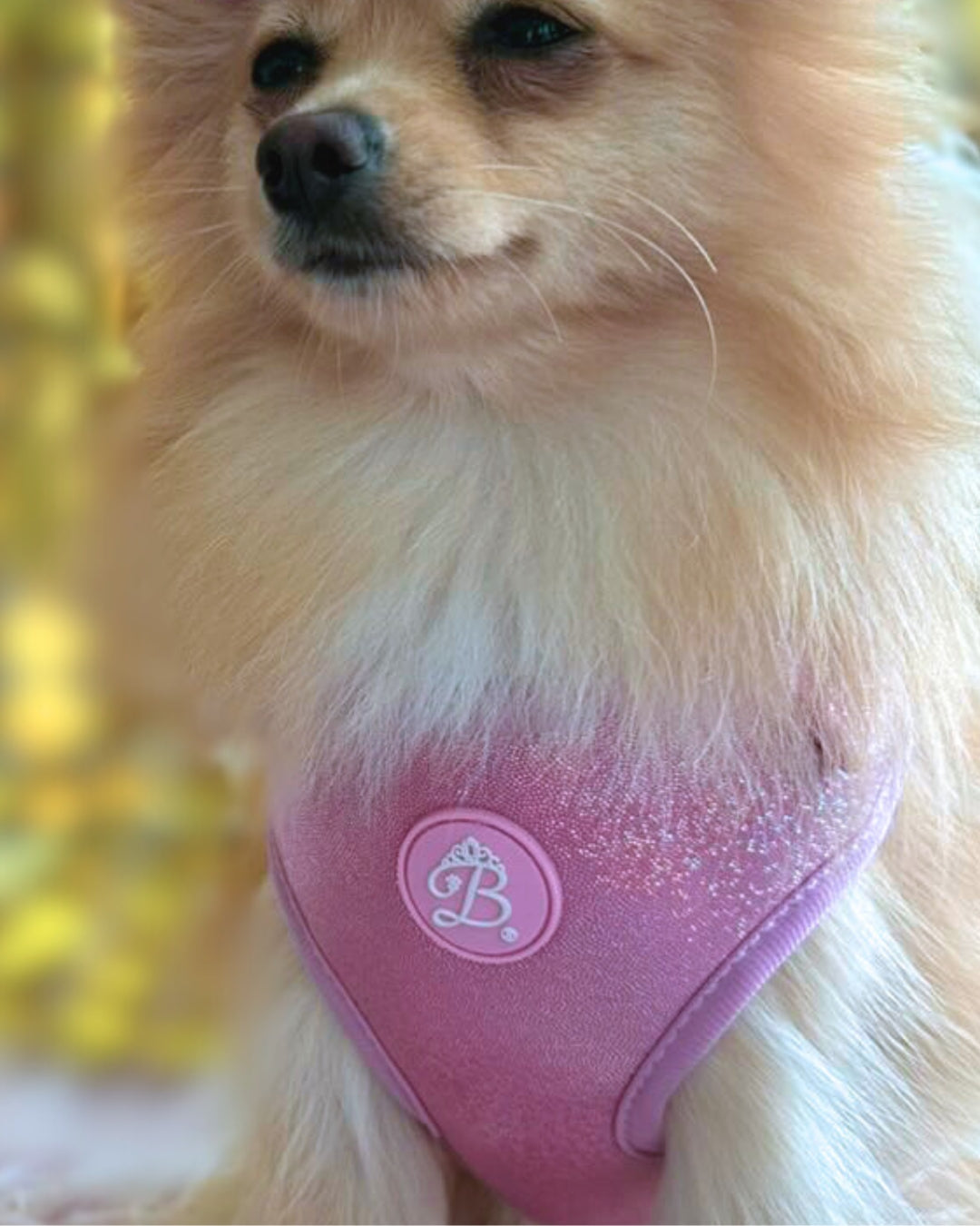 Peitoral Bling Bling Baby Pink