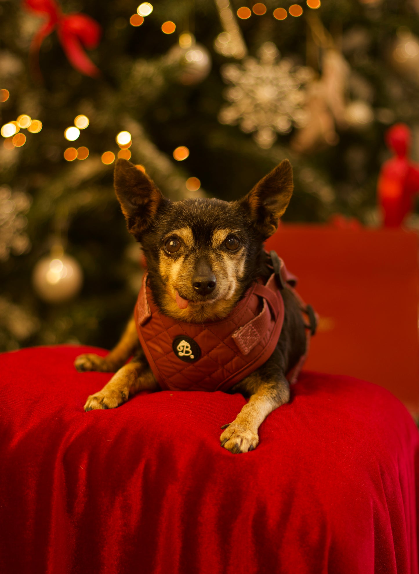 Peitoral Bordeaux Luxe