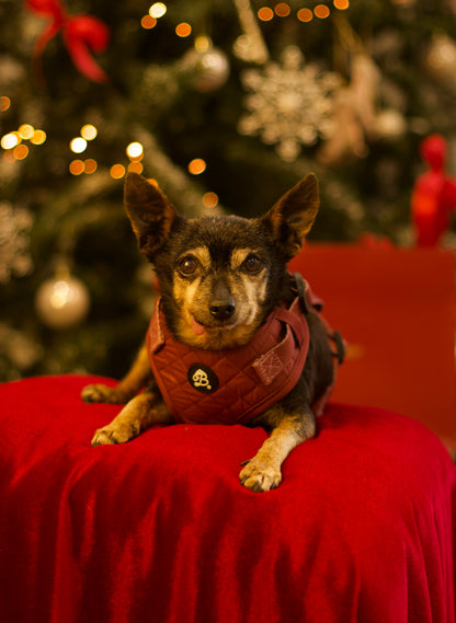 Peitoral Bordeaux Luxe