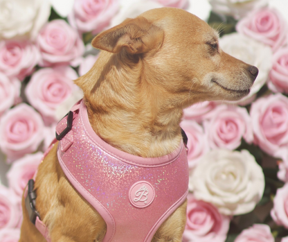 Peitoral Bling Bling Baby Pink