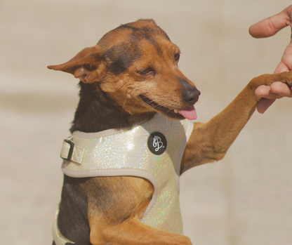 Peitoral Bling Bling Baby Nude