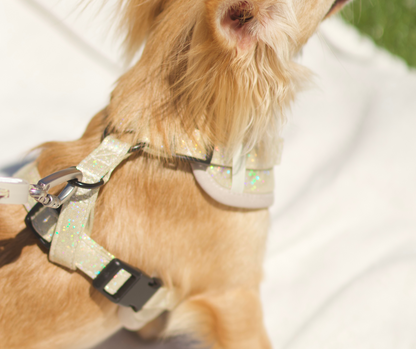 Peitoral Bling Bling Baby Nude