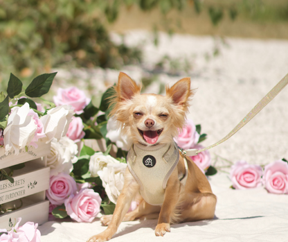 Peitoral Bling Bling Baby Nude