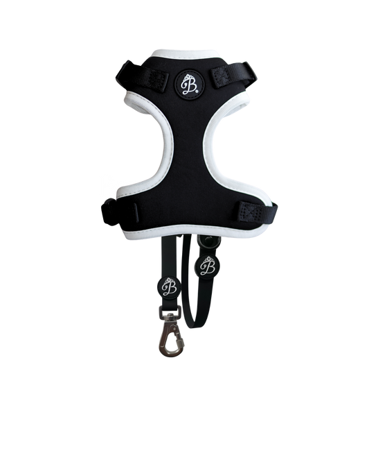 Kit Nº1 Blanc Noir