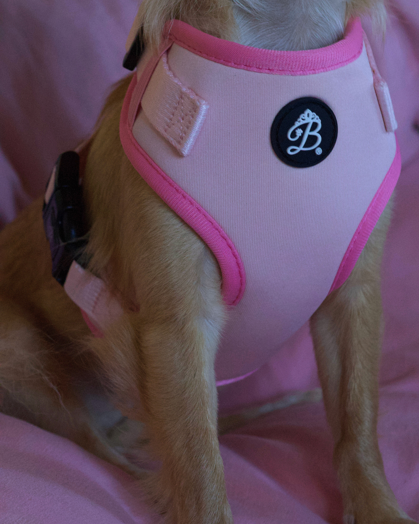 Peitoral Sweet Rosé