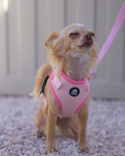 Peitoral Sweet Rosé