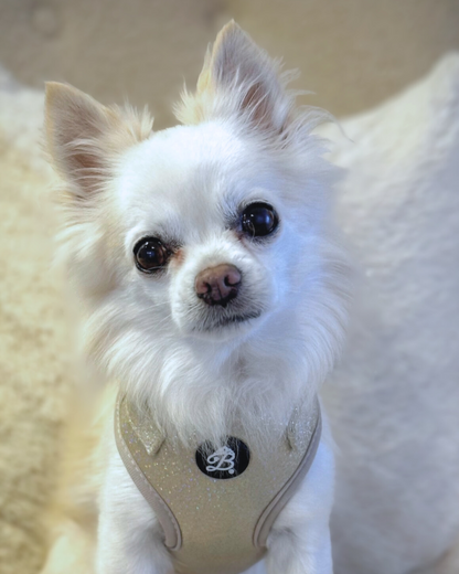 Peitoral Bling Bling Baby Nude